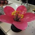 maquette géante de la fleur de cerisier